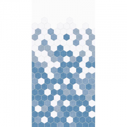 Blue Monochrome Hexagon