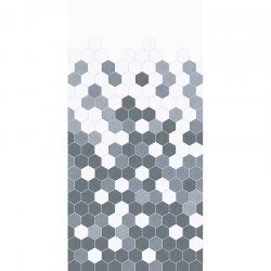 Grey Monochrome Hexagon
